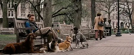 In Her Shoes (2005)