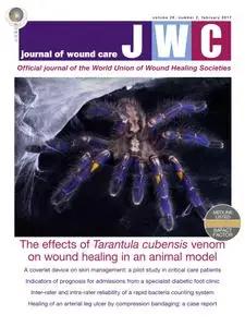 Journal of Wound Care - February 2017