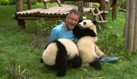 Untamed China (2011)