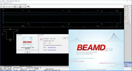 ATIR STRAP / BEAMD 2018