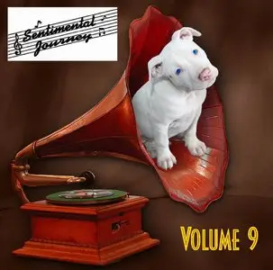 VA - A Sentimental Journey: Volume 01-09 (2012)