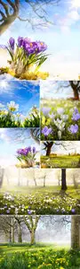 Stock Photo - Spring Nature 2015