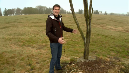 Discovery Channel - Dan Snow's Battle of the Somme (2015)