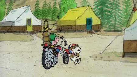 Race for Your Life, Charlie Brown (1977)