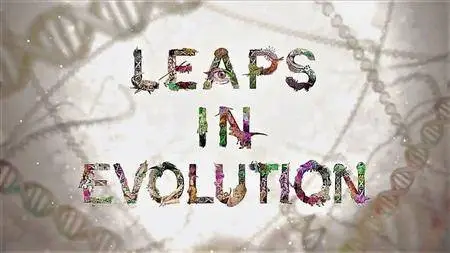 NHK - Leaps in Evolution: Series 1 (2016)