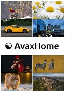 AvaxHome Wallpapers Part 98