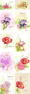 Floral Vector Illustrations Volume 4