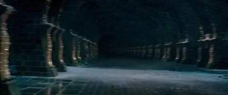 Harry Potter and the Order of the Phoenix (2007)