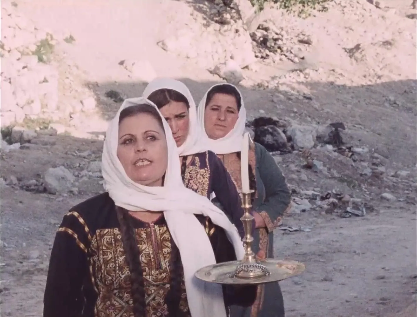 Leila and the Wolves (2025)