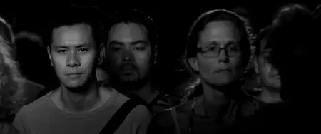 Visitors (2013)