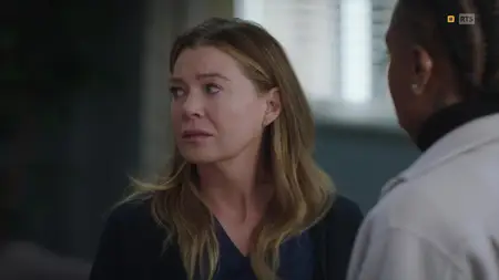 Grey's Anatomy S21E11