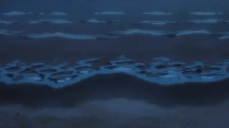 Summer Pockets - 22 (1080p