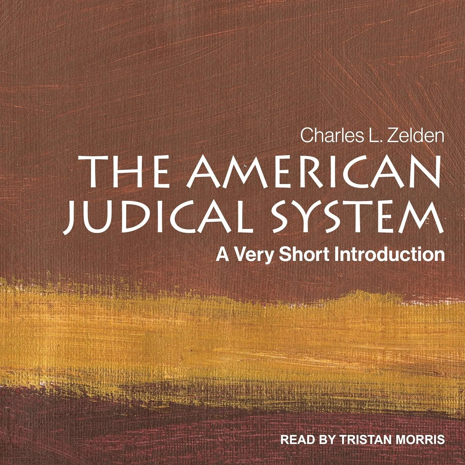 The American Judicial System: A Very Short Introduction