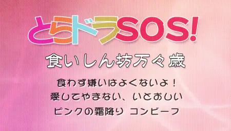 Toradora! SOS - 04 (848x480 h264 BD AAC
