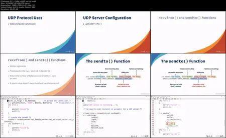 Network Programming in C: Develop Reliable Client/Server Applications [Updated: 12/12/2024]
