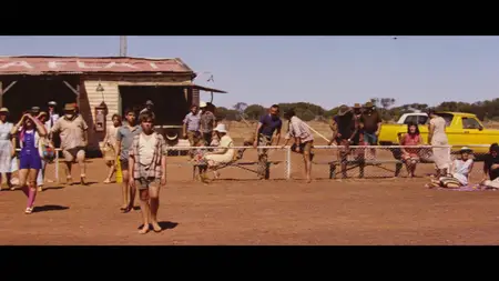 Dingo (1991)