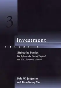 Investment, Vol. 3: Lifting the Burden: Tax Reform, the Cost of Capital, and U.S. Economic Growth