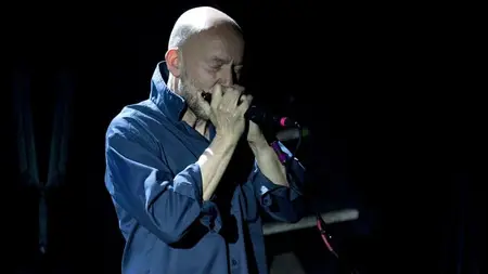 Learn to play HARMONICA, the easiest instrument to pick up (2025)
