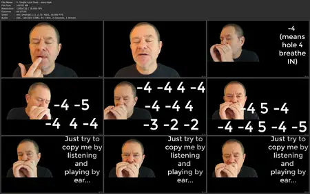 Learn to play HARMONICA, the easiest instrument to pick up (2025)