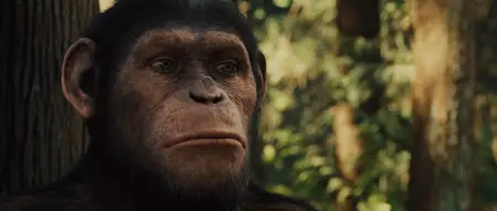 Rise of the Planet of the Apes (2011) + Extras & Commentary