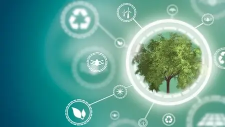 Circular Economy Ultimate Guide: Profits, Planet & People