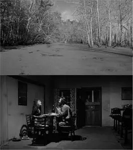 Down by Law (1986) [The Criterion Collection]