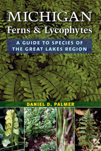 Michigan Ferns and Lycophytes : A Guide to Species of the Great Lakes Region