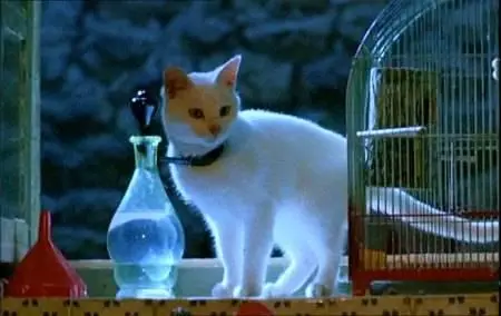 Jean-Jacques Beineix - 37°2 le matin ('Betty Blue') (1986)