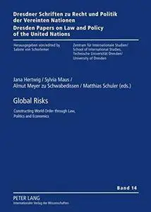 Global Risks: Constructing World Order through Law, Politics and Economics (Dresdner Schriften zu Recht und Politik der Vereint