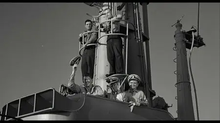 Höllenhunde des Pazifik (1957)