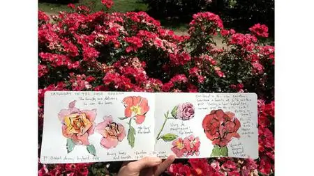 Create A Garden & Nature Sketchbook