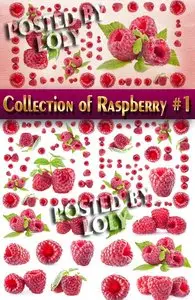 Food. Mega Collection. Raspberries #1 - Stock Photo