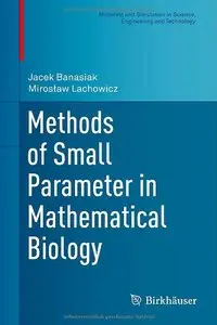 Methods of Small Parameter in Mathematical Biology