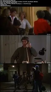 Ordinary People (1980)