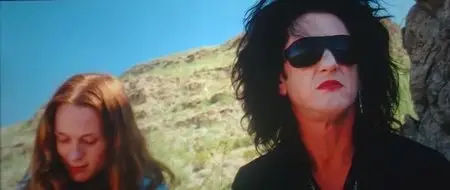 This Must Be The Place (2011)