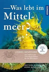 Was lebt im Mittelmeer: Neue, erweiterte und überarbeitete Ausgabe