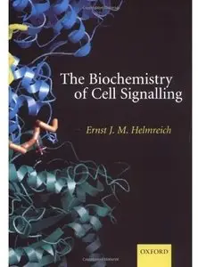 The Biochemistry of Cell Signalling [Repost]