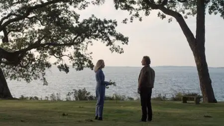The Will (2020)