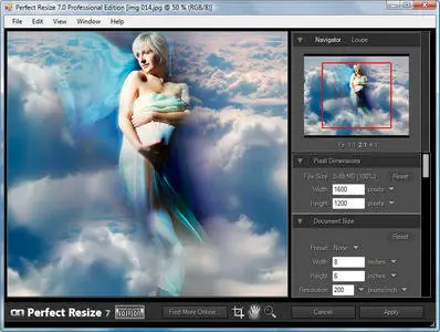 OnOne Perfect Resize Professional Edition 7.0.2