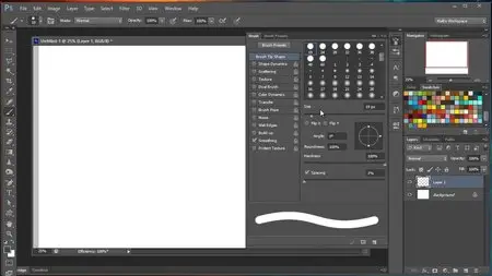 Photoshop for Illustrators II: Using and Creating Brushes