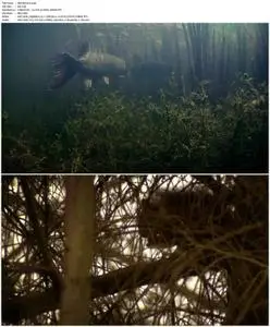Ireland's Wild River (2014)