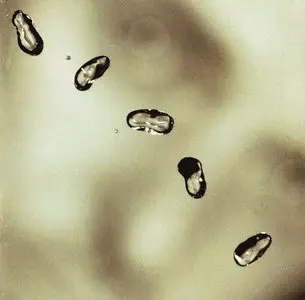 Peter Gabriel - Up (2002)