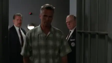 1994 S04E15