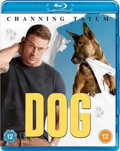 Dog (2022)