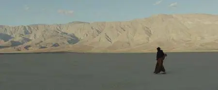 Last Days in the Desert (2015)