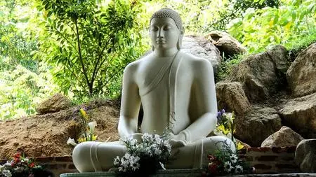 Vipassana Meditation Course: Buddhas Meditation