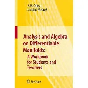 Analysis and Algebra on Differentiable Manifolds: A Workbook for Students and Teachers (repost)