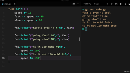 Udemy - Go (Golang): The Complete Bootcamp (2019)