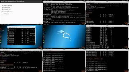 Scanning and Enumeration with Kali Linux