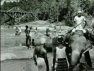 Columbia - The Making of Bridge on the River Kwai (2000)